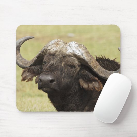 Afrikanisches Buffalo, Syncerus-Kaffeehaus Mousepad (Mit Mouse)