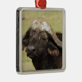 Afrikanisches Buffalo, Syncerus-Kaffeehaus Ornament Aus Metall (Rechts)