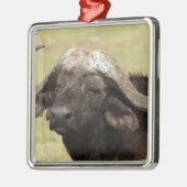 Afrikanisches Buffalo, Syncerus-Kaffeehaus Ornament Aus Metall (Links)