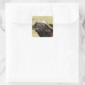 Afrikanisches Buffalo, Syncerus-Kaffeehaus Quadratischer Aufkleber (Tasche)