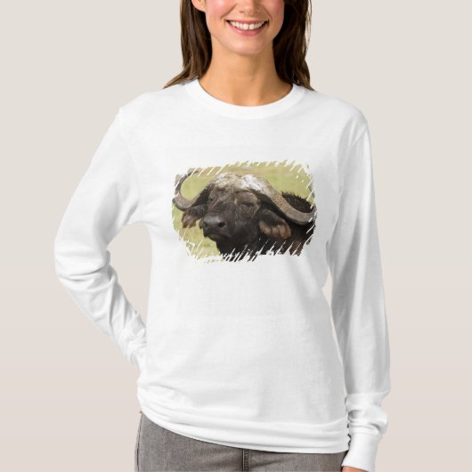 Afrikanisches Buffalo, Syncerus-Kaffeehaus T-Shirt (Vorderseite)