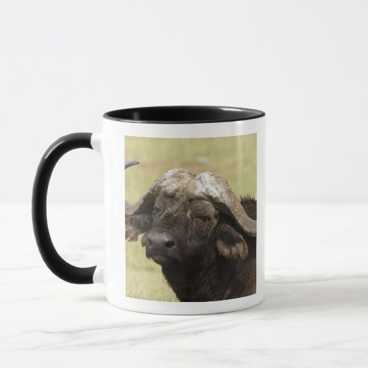 Afrikanisches Buffalo, Syncerus-Kaffeehaus Tasse (Links)