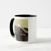 Afrikanisches Buffalo, Syncerus-Kaffeehaus Tasse (Vorderseite Links)