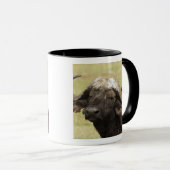 Afrikanisches Buffalo, Syncerus-Kaffeehaus Tasse (VorderseiteRechts)