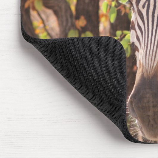 Afrikanisches Burchell-Zebra mit Streifen in Busch Mousepad (Ecke)