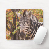 Afrikanisches Burchell-Zebra mit Streifen in Busch Mousepad (Mit Mouse)