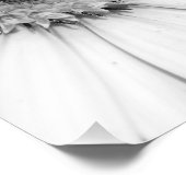 Afrikanisches Daisy-Monochrome-Foto Fotodruck (Ecke)