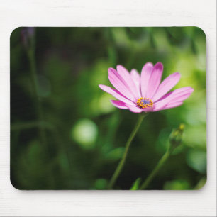 Afrikanisches Disy Mousepad