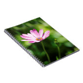 Afrikanisches Disy Notizblock (Rechte Seite)