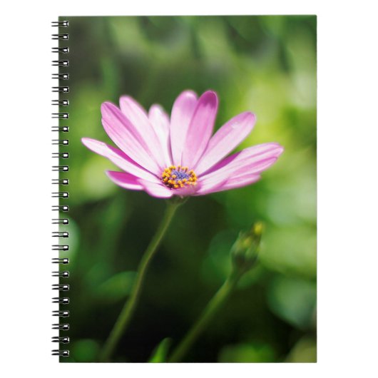 Afrikanisches Disy Notizblock (Vorderseite)