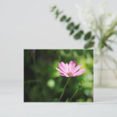 Afrikanisches Disy Postkarte (Stehend Vorderseite)