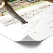 Afrikanisches Elefantentier Poster (Ecke)