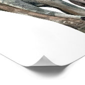 Afrikanisches Elefantenwild Poster (Ecke)