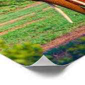 Afrikanisches Elephant Wildlife Foto Poster (Ecke)