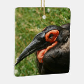 Afrikanisches Erdhornbill-Ornament Keramikornament (Rechts)