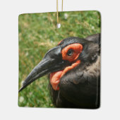 Afrikanisches Erdhornbill-Ornament Keramikornament (Links)