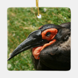 Afrikanisches Erdhornbill-Ornament Keramikornament