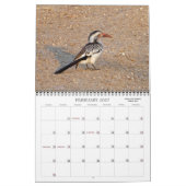 AFRIKANISCHES FOTO SAFARI  KALENDER (Feb 2027)