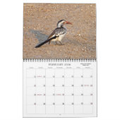 AFRIKANISCHES FOTO SAFARI  KALENDER (Feb 2026)