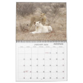 AFRIKANISCHES FOTO SAFARI  KALENDER (Jan 2026)