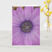 Afrikanisches Gänseblümchen-Gruß-Karte Karte (Gelbe Blume)