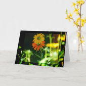 AFRIKANISCHES GÄNSEBLÜMCHEN-KARTE KARTE (Gelbe Blume)