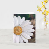 Afrikanisches Gänseblümchen Notecard Karte (Gelbe Blume)