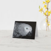 Afrikanisches Grau-Anmerkungs-Karte Karte (Gelbe Blume)