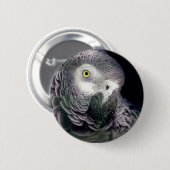 Afrikanisches Grau Button (Vorne & Hinten)