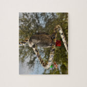 Afrikanisches Grau des Kongos auf einem Schwingen Puzzle (Vertikal)