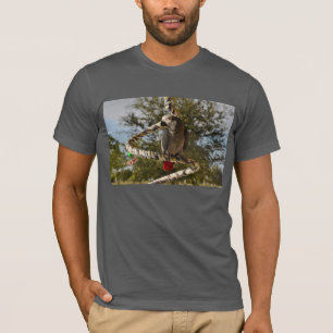 Afrikanisches Grau des Kongos auf einem Schwingen T-Shirt