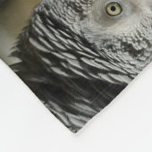 Afrikanisches Grau-Papagei des Kongos mit Fleecedecke (Ecke)