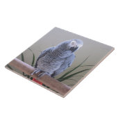 Afrikanisches Grau-Papagei Fliese (Seite)