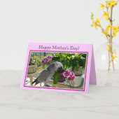 Afrikanisches Grau-Papagei mit Orchideen Karte (Gelbe Blume)