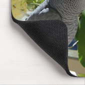 Afrikanisches Grau-Papagei mit Orchideen Mousepad (Ecke)