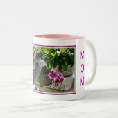 Afrikanisches Grau-Papagei mit Orchideen Zweifarbige Tasse (VorderseiteRechts)