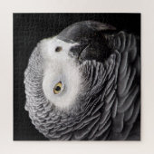 Afrikanisches Grau-Papagei Puzzle (Vertikal)