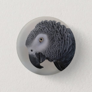 Afrikanisches Grau-Papageien-Button/Abzeichen Button