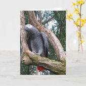 Afrikanisches Grau-Papageien-Gruß-Karte Karte (Gelbe Blume)