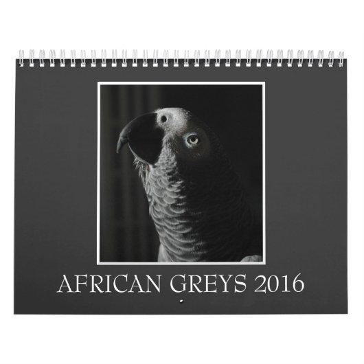Afrikanisches Grau-Papageien-Kalender 2016 des Kalender (Titelbild)