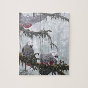 Afrikanisches Grau plappert frei fliegen nach Puzzle