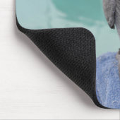 Afrikanisches Grau-Pool-Party Mousepad (Ecke)