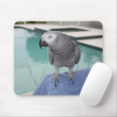 Afrikanisches Grau-Pool-Party Mousepad (Mit Mouse)