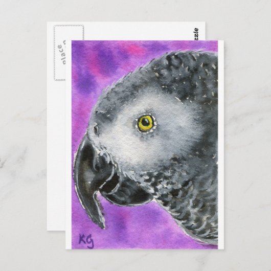 Afrikanisches Grau Postkarte (Vorne/Hinten)