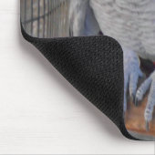Afrikanisches Grau "Rudy " Mousepad (Ecke)