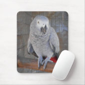 Afrikanisches Grau "Rudy " Mousepad (Mit Mouse)