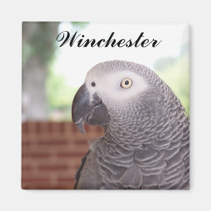AFRIKANISCHES GRAY-MAGNET Winchester Magnet