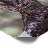 Afrikanisches Hornbill in den Zweigen Poster (Ecke)