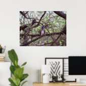 Afrikanisches Hornbill in den Zweigen Poster (Heimbüro)