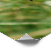 Afrikanisches Hornbill-Poster Poster (Ecke)